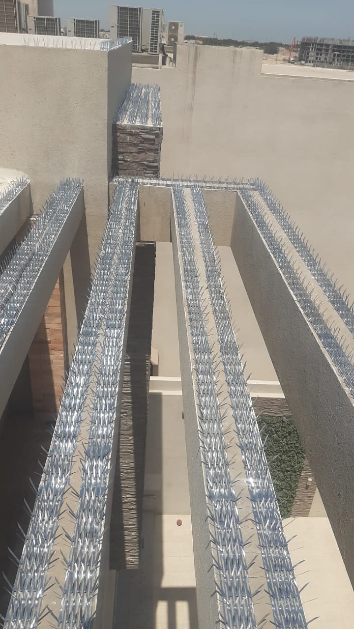 شرائط منع وقوف الحمام موزعة على عوارض وبروزات خارجية