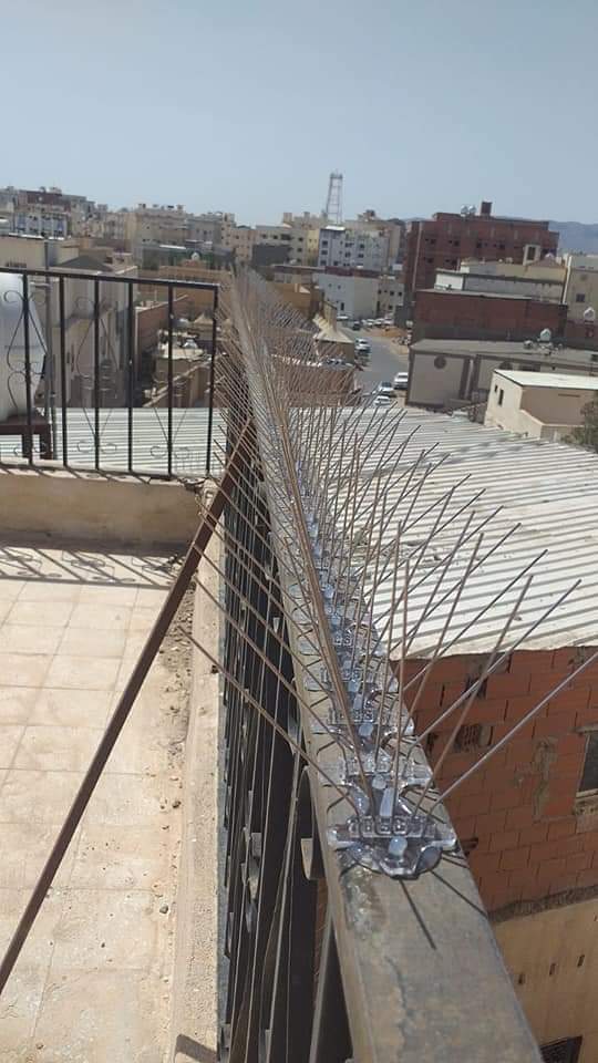 أسنان طارد حمام رفيعة مثبتة أعلى درابزين خارجي